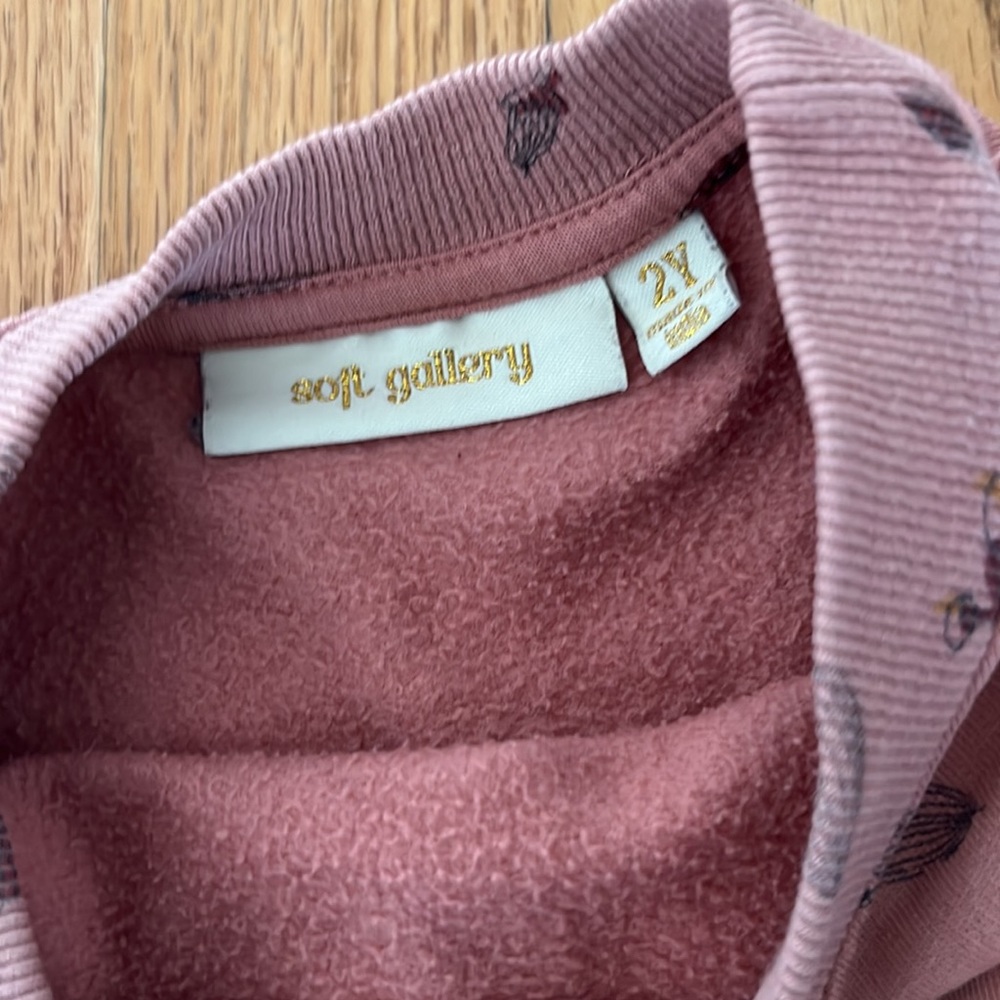 Soft Gallery little girls sweatshirt dress! Size 2years - Picture 3 of 4